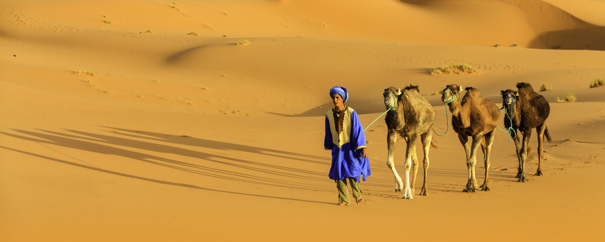 bg cntct3 nagatravel