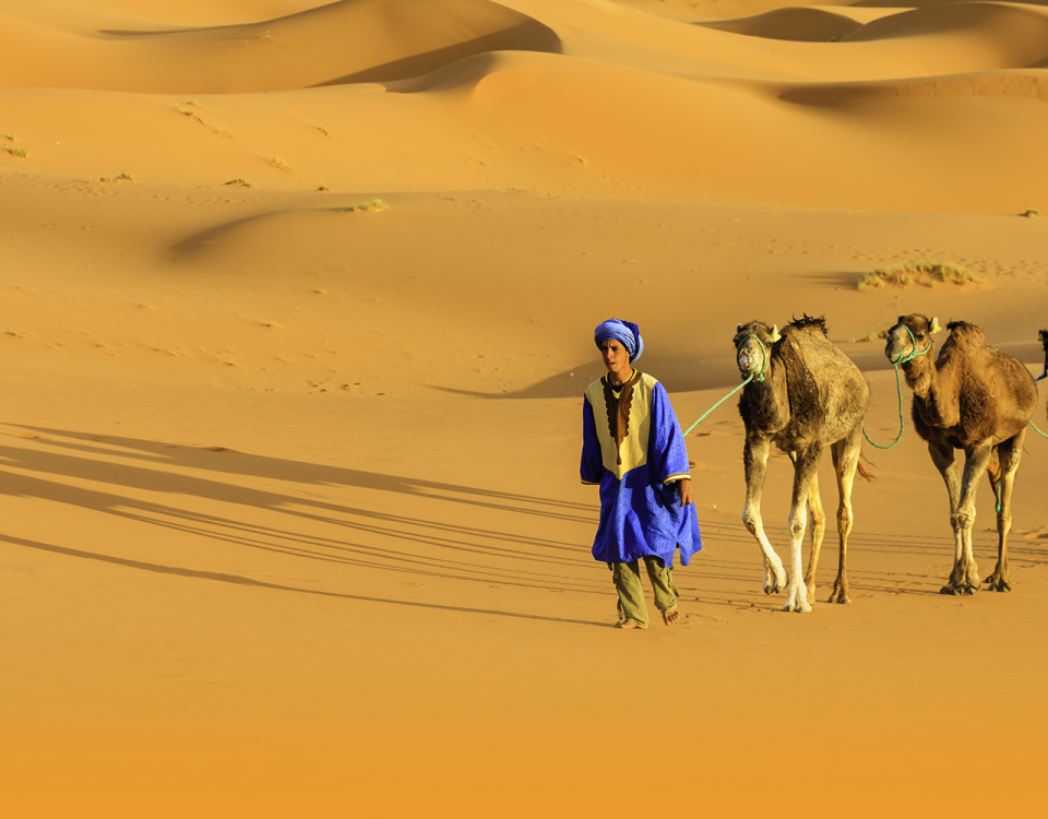 bg cntct3 nagatravel